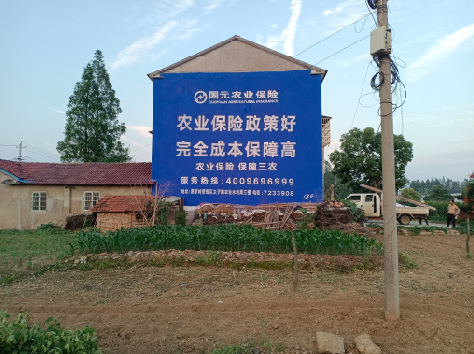 平阳墙体广告为何受追捧?