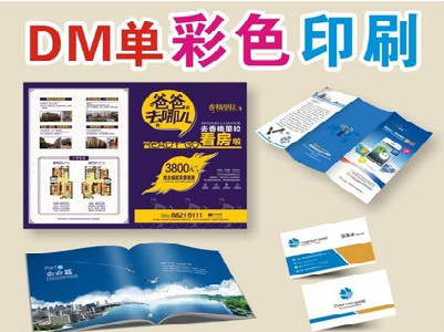 平阳单页印刷，色彩搭配简单。